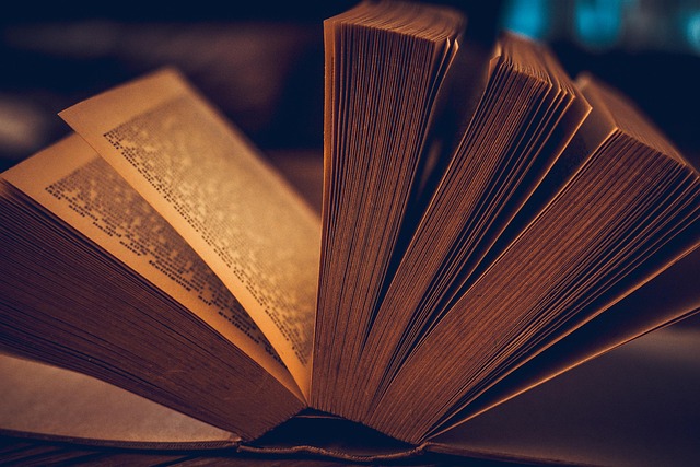 Intelectualul medieval